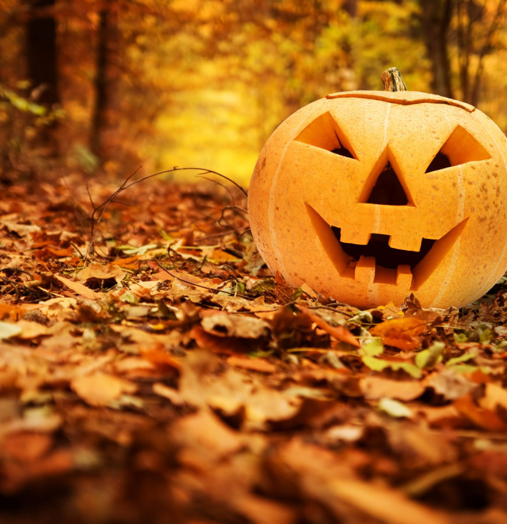 Halloween Family Offer Mid Term Hotel Deals 4* Limerick Strand Hotel